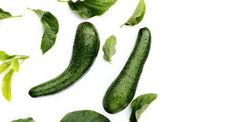 Long avocado fruit, Fresh long neck avocado