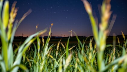 Nighttime Landscape with Wind Turbines, Stars, Wheat Field, and Gentle Breeze under Clear Skies