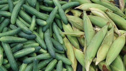 corn and cucumber at the traditional market