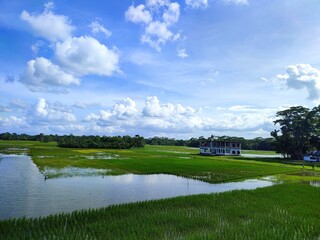 summer landscape with lake