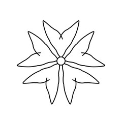 Flower illustration on white background 