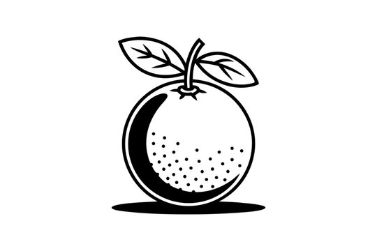 recommend clip art: 
                    Orange fruit line art illustration