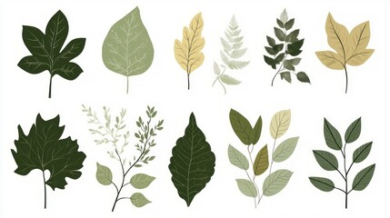 Collection of various leaves and foliage