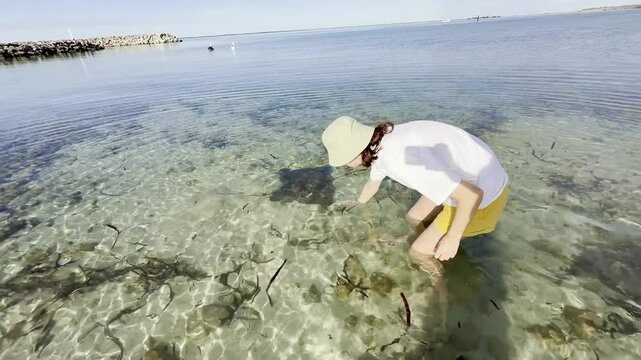 A happy tourist touches a large stingray - Southern Eagle Ray swimming very close to her. Point Turton - the best place to see large stingrays in South Australia. Yorke Peninsula