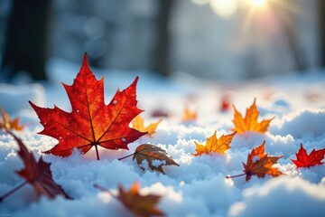 Feuilles mortes sous la neige , snow, lace-like, winter