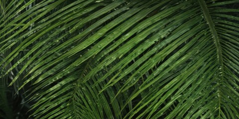 Intricate palm frond veins, vibrant green hues ,  wildlife,  foliage,  close-up