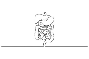 Continuous one line drawing of Human digestion. Single line drawing illustration of Human Digestive. Human anatomical concept vector art. Doodle line illustration.