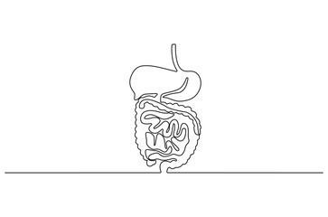 Continuous one line drawing of Human digestion. Single line drawing illustration of Human Digestive. Human anatomical concept vector art. Doodle line illustration.