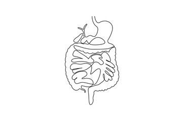 Continuous one line drawing of Human digestion. Single line drawing illustration of Human Digestive. Human anatomical concept vector art. Doodle line illustration.