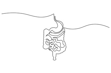 Continuous one line drawing of Human digestion. Single line drawing illustration of Human Digestive. Human anatomical concept vector art. Doodle line illustration.