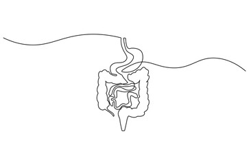 Obraz premium Continuous one line drawing of Human digestion. Single line drawing illustration of Human Digestive. Human anatomical concept vector art. Doodle line illustration.