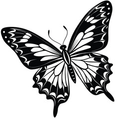 Black and White Butterfly Illustration Graphic Design
