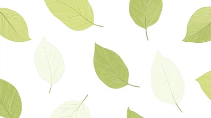 Fototapeta premium Delicate, light green and pale leaves pattern on a white background