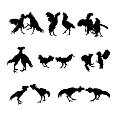 silhouette animal rooster fight on white background