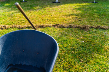 A pile of dry grass as a result of raking the lawn after winter. Spring lawn care and cleaning