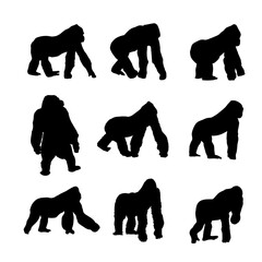 silhouette gorilla collection on white background