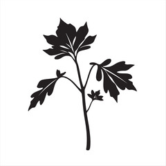 Amaranth silhouette, classic black and white, in a modern flat design style, set against a white background, using only simple two-dimensional shapes for an elegant look