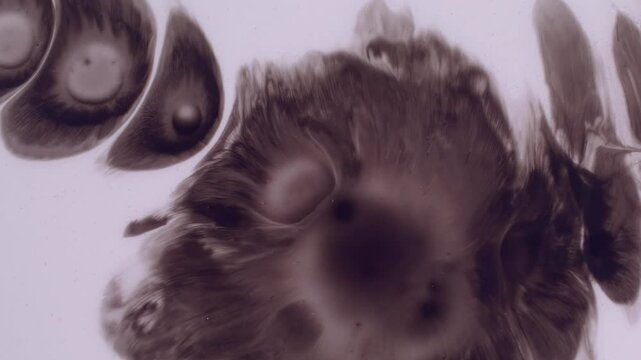 Dirty ink. Artistic fluid. Contrast black paint splatter on light wet white surface. Spreading dark messy cloudy water abstract background.