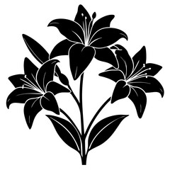 black silhouette of alilies flower