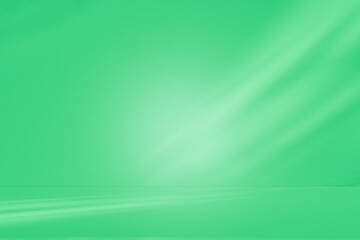 Wall interior background, studio and backdrops show products. with leaf shadow from window color green and white. background for text insertion and presentation of product	
