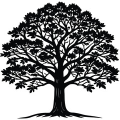 Obraz premium Large Deciduous Tree Silhouette Black and White Illustration