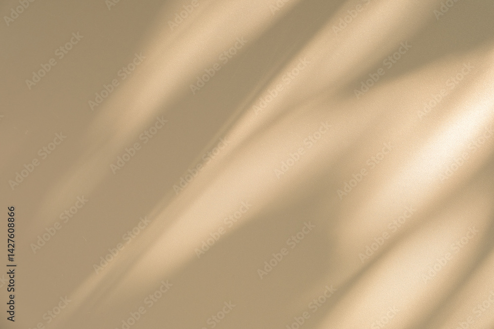 Leinwandbilder wall interior background, studio and backdrops show products. with leaf shadow from window color bei