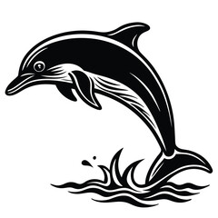 Black and White Dolphin Leaping from Ocean Waves