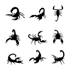 silhouette animal scorpion on white background