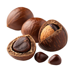 Whole cola nuts png kola nuts png raw cola nuts png caffeine nut png tropical nut png transparent background image