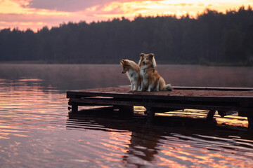 Fototapety na wymiar - Fototapeta24.pl