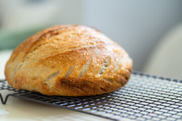 Closeup of homemade sourdough bread on black baking rack, showcasing the golden crust and texture, freshly baked and ready to be enjoyed