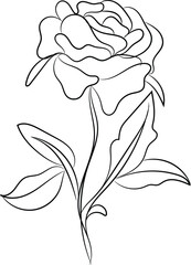 Elegant Line Art Drawing of a Single Rose Flower with Leaves