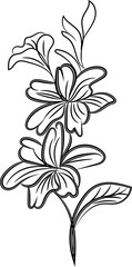 Obraz premium Elegant Black Line Art Floral Design Botanical Illustration