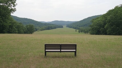Empty park bench overlooks expansive meadow valley.