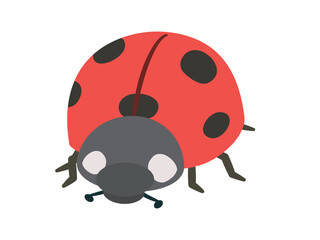 虫_ナチュラルフラット_てんとうむし