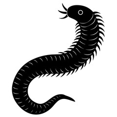 Fototapeta premium black silhouette of a Antarctic Scale Worm animal