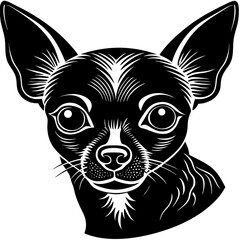 black silhouette of a Koala Bear anima