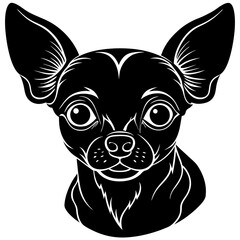 black silhouette of a Koala Bear anima