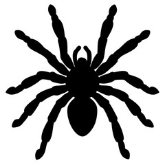 black silhouette of a Arizona Blonde Tarantula animal 