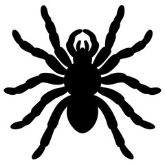 Obraz premium black silhouette of a Arizona Blonde Tarantula animal 