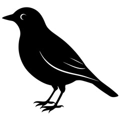 Obraz premium black silhouette of a bird animal