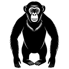Fototapeta premium black silhouette of a Monkey animal