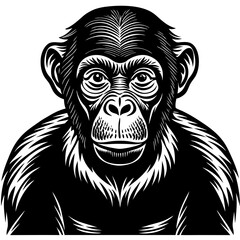 Obraz premium black silhouette of a Monkey animal