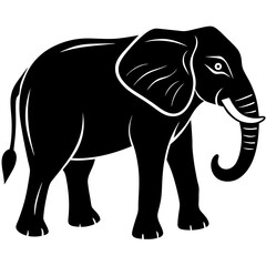 Fototapeta premium black silhouette of a Elephant animal 