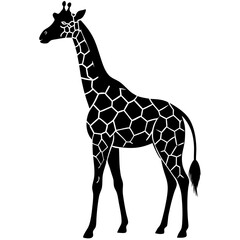 Naklejka premium black silhouette of a Angora Goat Caterpillar animal 