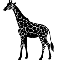 Fototapeta premium black silhouette of a Angora Goat Caterpillar animal 