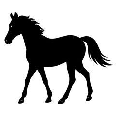 Obraz premium black silhouette of a horse, animal 