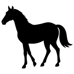 Obraz premium black silhouette of a horse, animal 