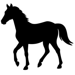 black silhouette of a horse, animal 