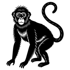 Fototapeta premium black silhouette of a Monkey animal 